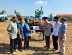 Momen Idul Adha, Perumda Tirta Mulia Pemalang Pererat Hubungan dengan Masyarakat melalui Kurban