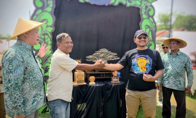 
					512 Pecinta Bonsai Ramaikan “Pesona Bonsai Pemalang Bercahaya” 2025