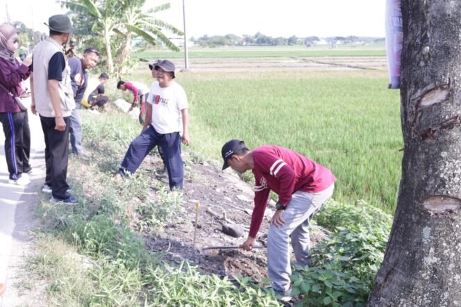 
					OPD Keroyokan, Hijaukan Pemalang.! Ratusan Pohon Tabebuya Warnai Dua Ruas Jalan