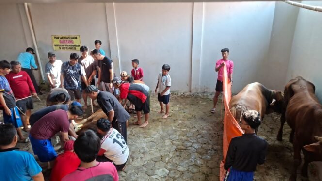 
					Patungan Kurban Warga LDII Pemalang Tembus Rp 3,34 Miliar, 127 Sapi dan 84 Kambing