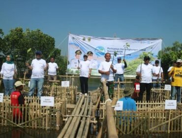 Bupati Anom Pimpin Penanaman 3.000 Mangrove di Pemalang, Peringati Hari Lingkungan Hidup Sedunia 2026