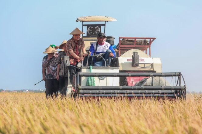 
					Pemalang Ikut Peran Sebagai Penyangga Pangan, Produksi Padi Jateng Capai 6,69 Juta Ton